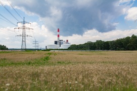 Auenlandschaft Donaudorf