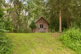 Auenlandschaft Donaudorf