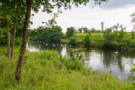 Auenlandschaft Donaudorf