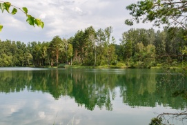 Auenlandschaft Donaudorf