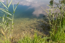 Auenlandschaft Donaudorf