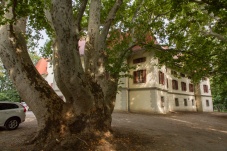 Schloss Tribuswinkel