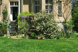 Altbauwohnung mit Garten in Gründerzeitvilla