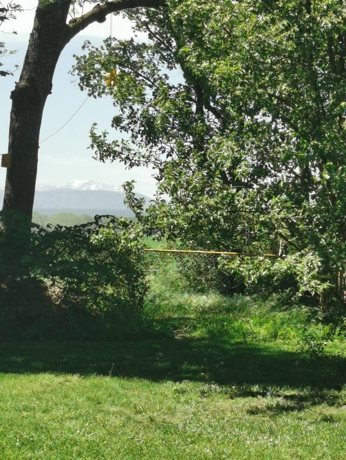 Altbauwohnung mit Garten in Gründerzeitvilla