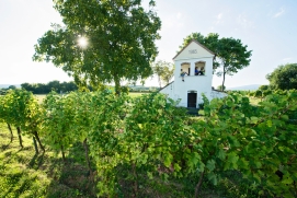 Hüterhütte am Lindenberg