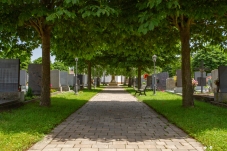 Friedhof Hohenau an der March