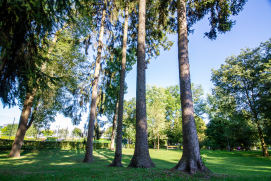 Hammerpark St. Pölten