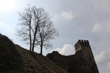 Burg Hardegg