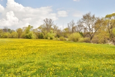 Naturpark Dobersberg