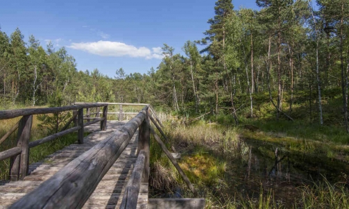 Naturpark Hochmoor Schrems/UnterWasserReich