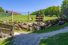 Tierpark Buchenberg