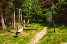 Tierpark Buchenberg