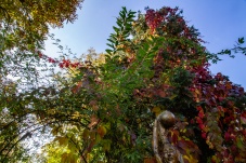 SkulpturNaturgarten Harry Raab