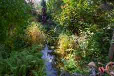 SkulpturNaturgarten Harry Raab