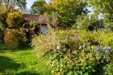 SkulpturNaturgarten Harry Raab