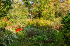 SkulpturNaturgarten Harry Raab