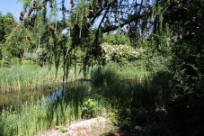 Schaugarten Feldner