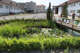 Garten Schmidt & Geschirrmuseum