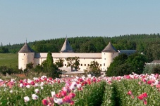Landwirtschaftliche Fachschule im Schloss Ottenschlag