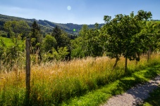 Schaugarten Land und Garten Bognerhof