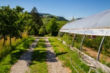 Schaugarten Land und Garten Bognerhof