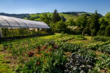 Schaugarten Land und Garten Bognerhof