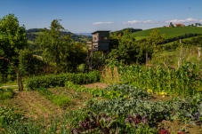 Schaugarten Land und Garten Bognerhof