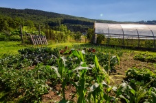 Schaugarten Land und Garten Bognerhof