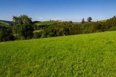 Schaugarten Land und Garten Bognerhof