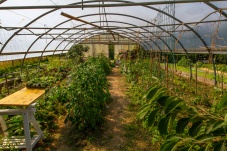 Schaugarten Land und Garten Bognerhof