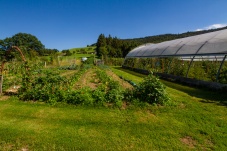 Schaugarten Land und Garten Bognerhof