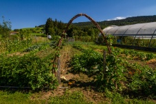 Schaugarten Land und Garten Bognerhof