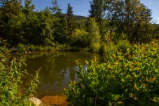 Schaugarten Land und Garten Bognerhof