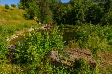 Schaugarten Land und Garten Bognerhof