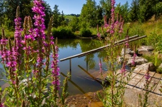 Schaugarten Land und Garten Bognerhof