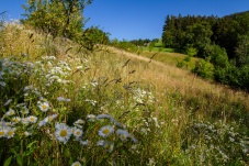 Schaugarten Land und Garten Bognerhof