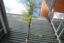 Universitätsklinikum Tulln