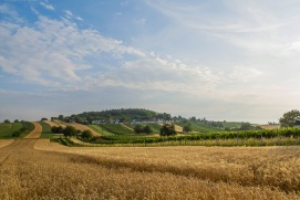 Kellerberg Wildendürnbach/Galgenberg