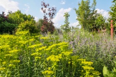 Privatschaugarten Trautmannsdorf