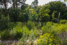 Privatschaugarten Trautmannsdorf