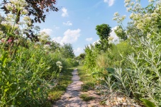 Privatschaugarten Trautmannsdorf