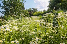 Privatschaugarten Trautmannsdorf