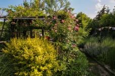 Privatschaugarten Trautmannsdorf