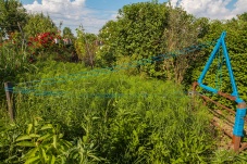 Privatschaugarten Trautmannsdorf