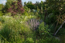 Privatschaugarten Trautmannsdorf