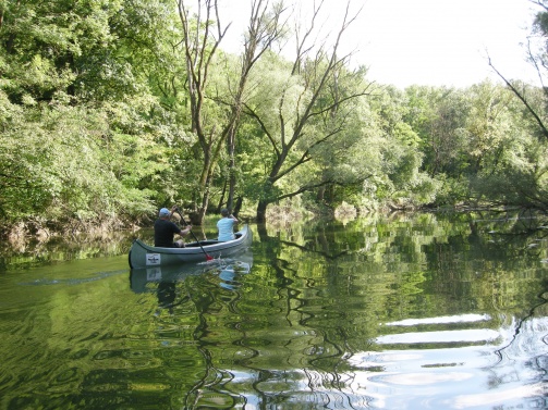 Kanutouren Tulln