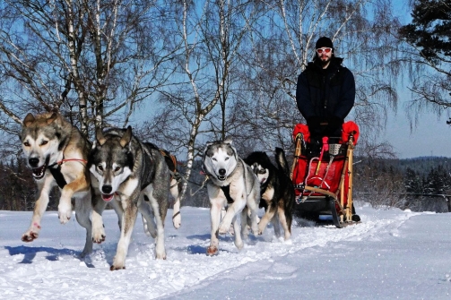 Huskyhof Waldviertel