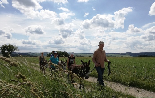 Eselwanderungen Waldviertel