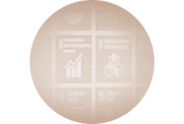 SDGS | DIE SUSTAINABLE DEVELOPMENT GOALS DER VEREINTEN...