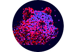 LAFC EVERGREEN PRISMA GOES BERLINALE 2026